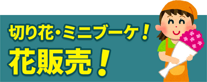 葬儀・葬式なら家族葬の広仏 切り花 花販売