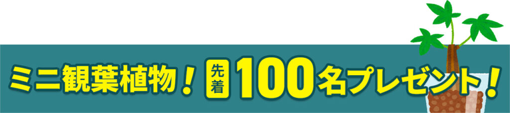 葬儀・葬式なら家族葬の広仏 ミニ観葉植物 先着100名プレゼント!