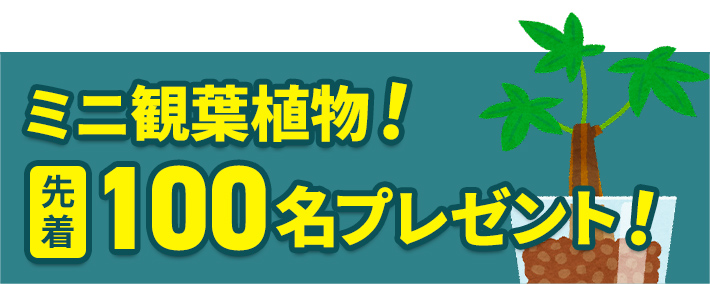 葬儀・葬式なら家族葬の広仏 ミニ観葉植物 先着100名プレゼント!